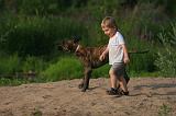 ENFANT ET CHIEN 618